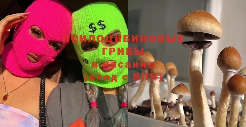 ссылка на мегу ССЫЛКА  Луга  Псилоцибиновые грибы MAGIC MUSHROOMS 